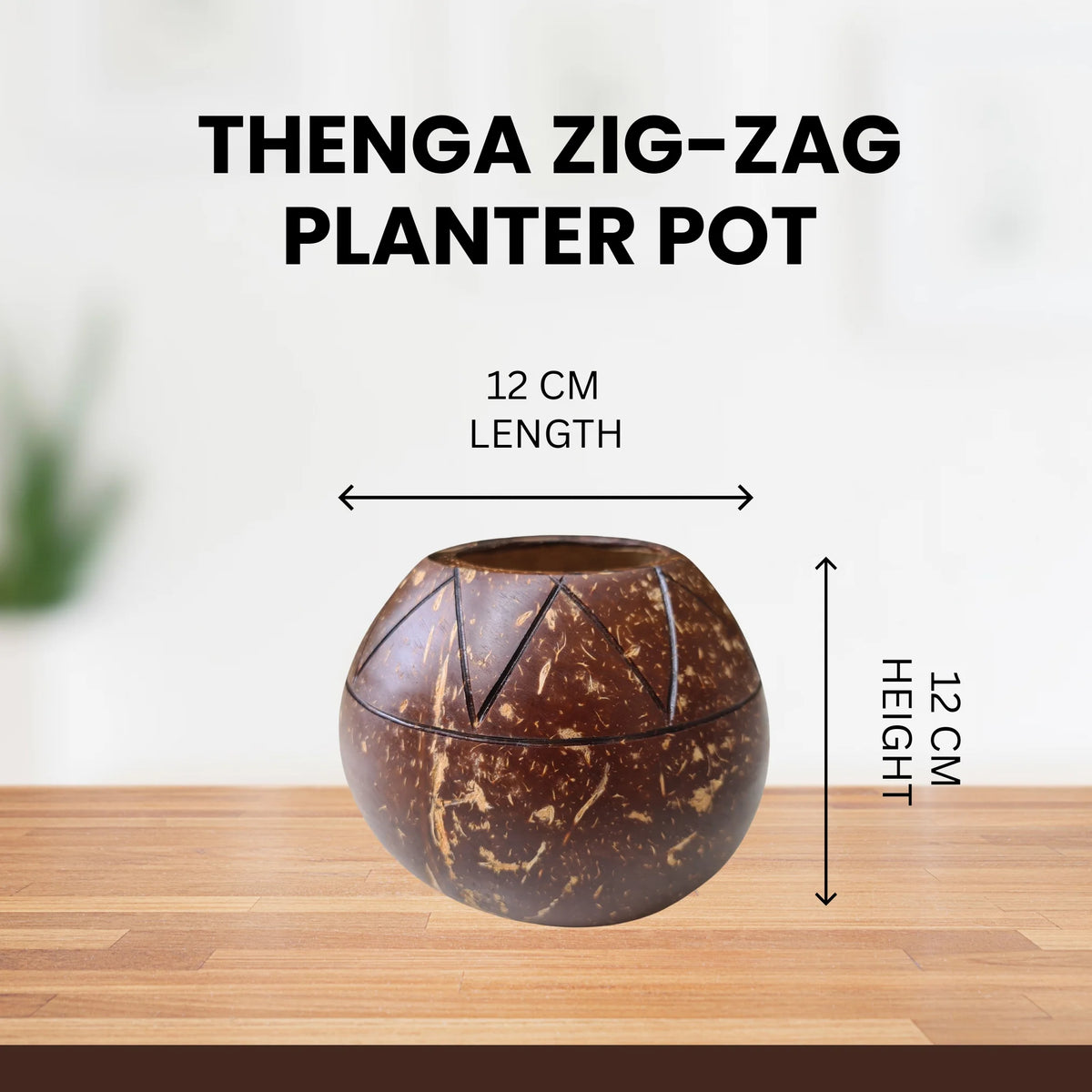 Coconut Shell Zig Zag Plant Pot with Cork Tray | Eco-Friendly Handcrafted Indoor Planter