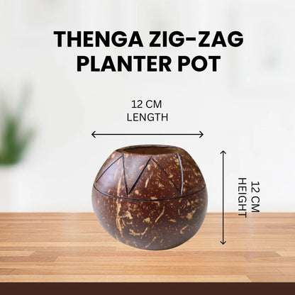 Coconut Shell Zig Zag Plant Pot with Cork Tray | Eco-Friendly Handcrafted Indoor Planter