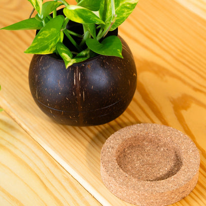 Coconut Shell Plant Pot with Cork Tray | Eco-Friendly Handcrafted Indoor Planter