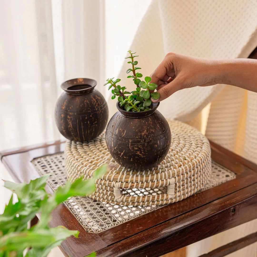 Coconut Shell Plant Pot with Cork Tray | Eco-Friendly Handcrafted Indoor Planter