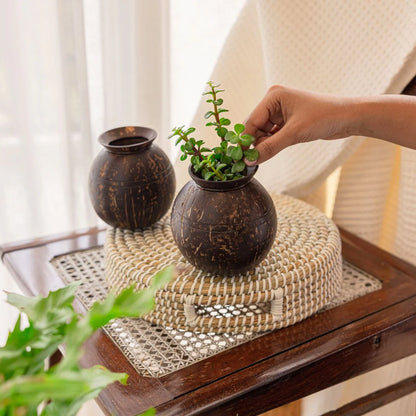 Coconut Shell Plant Pot with Cork Tray | Eco-Friendly Handcrafted Indoor Planter