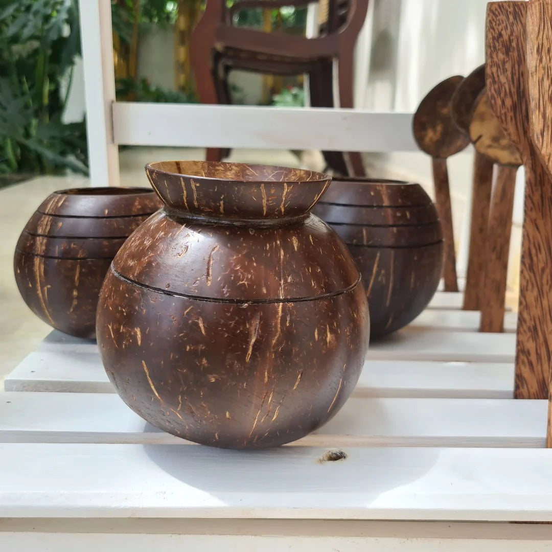 Coconut Shell Plant Pot with Cork Tray | Eco-Friendly Handcrafted Indoor Planter