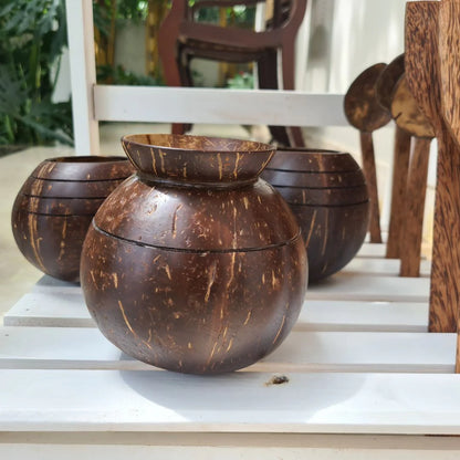 Coconut Shell Plant Pot with Cork Tray | Eco-Friendly Handcrafted Indoor Planter