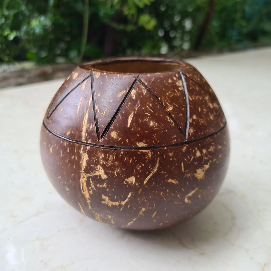 Coconut Shell Zig Zag Plant Pot with Cork Tray | Eco-Friendly Handcrafted Indoor Planter