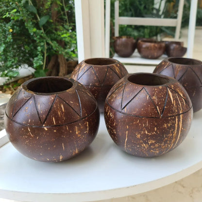 Coconut Shell Zig Zag Plant Pot with Cork Tray | Eco-Friendly Handcrafted Indoor Planter