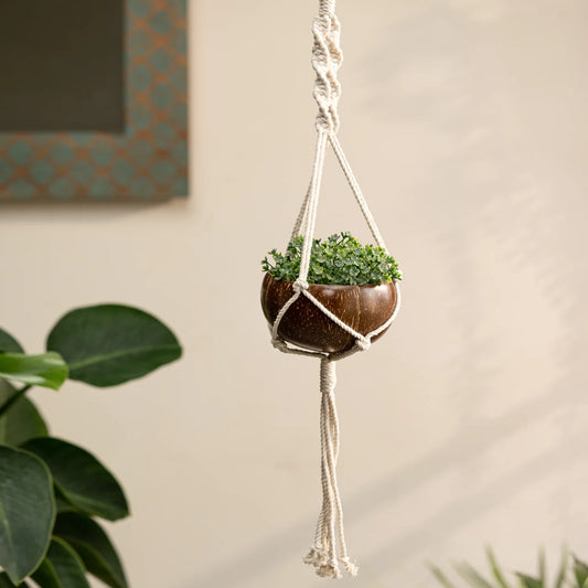 Coconut Shell Macramé Plant Hanger & Pot | Eco-Friendly Handcrafted Hanging Planter for Indoors