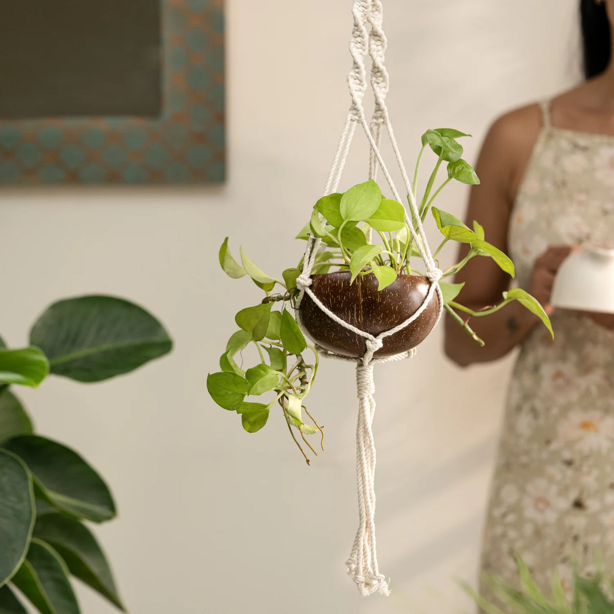 Coconut Shell Macramé Plant Hanger & Pot | Eco-Friendly Handcrafted Hanging Planter for Indoors